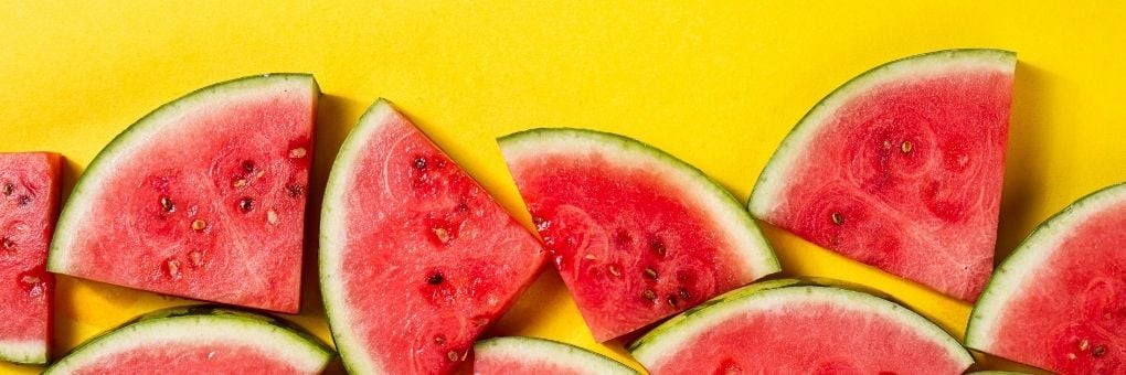 Watermelon Projects - Blog Top Image