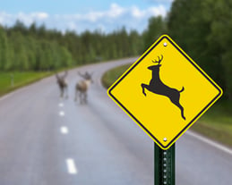 deer-crossing-sign