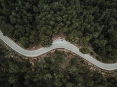 elevated-view-empty-curve-road-through-forest