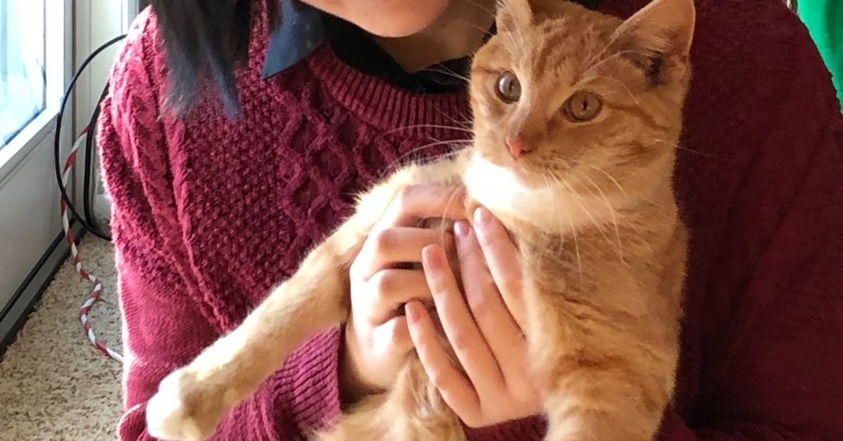 girl holding cat who looks overwhelmed