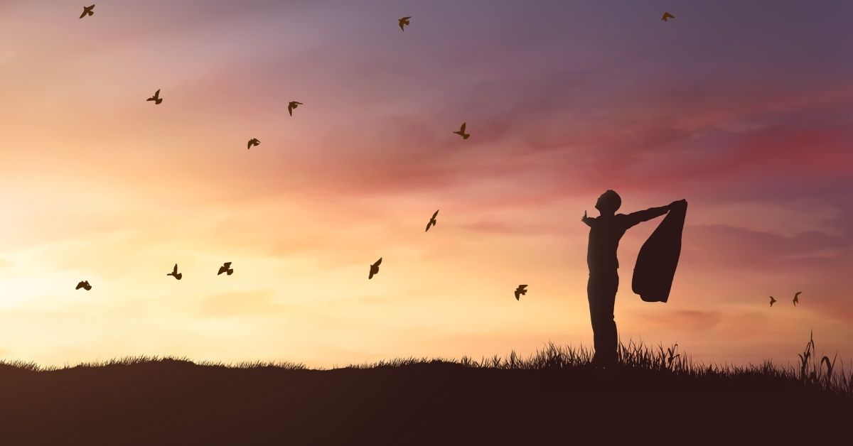 person standing with arms open looking into the sunset with birds flying around