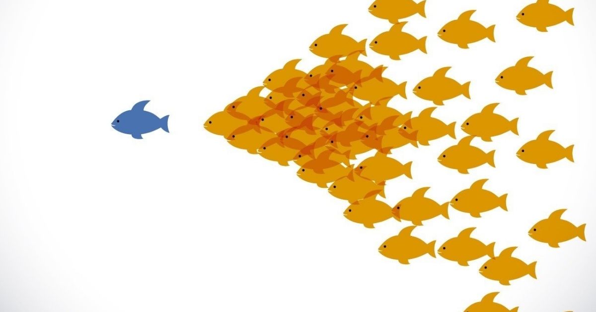 Blue fish swimming in front of a swarm of orange fish leading them toward greatness